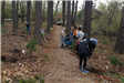 Volunteers get to work digging holes for saplings.