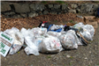 Bags of trash that have been collected