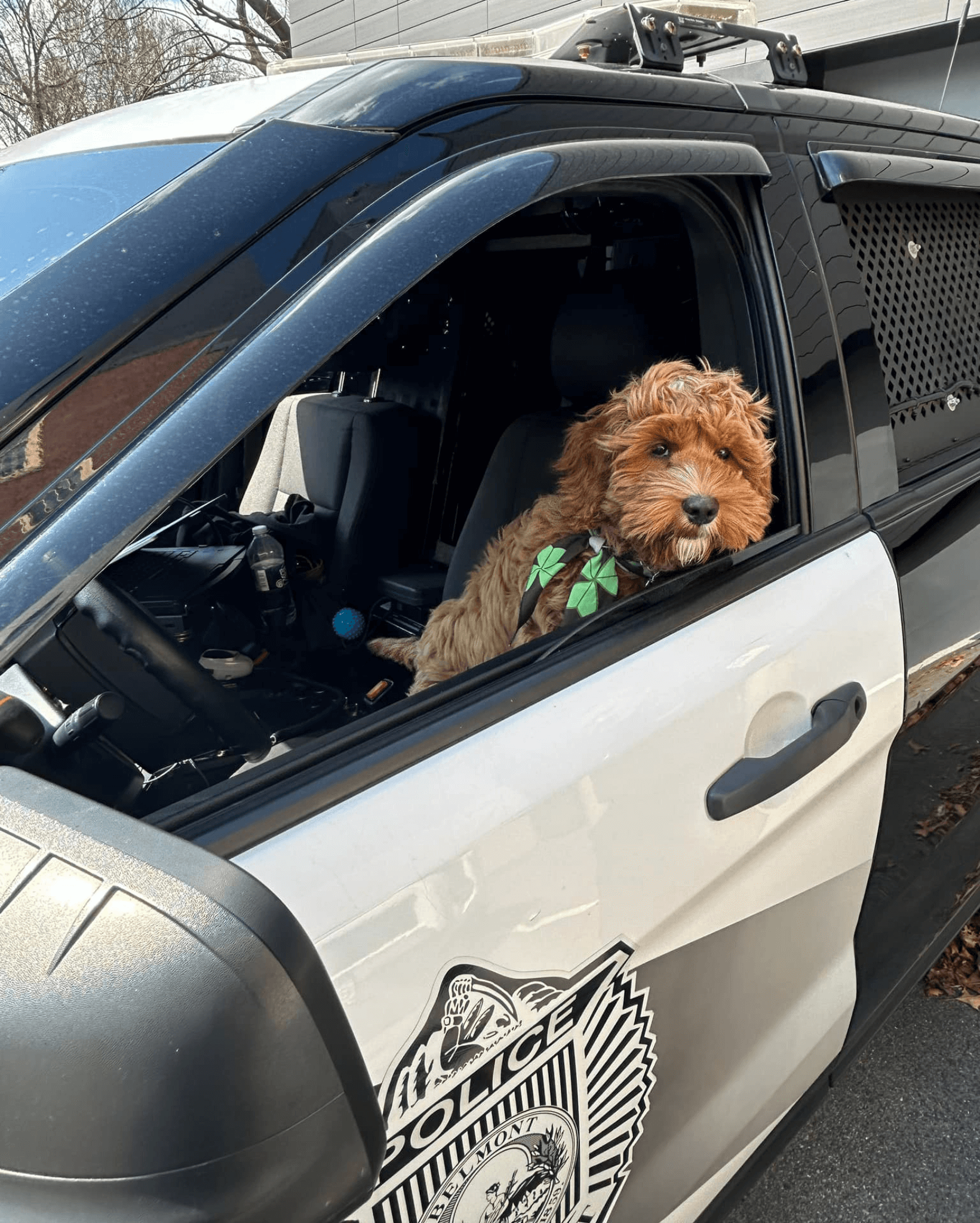 3.1.24-BPD Bingo in Police Car