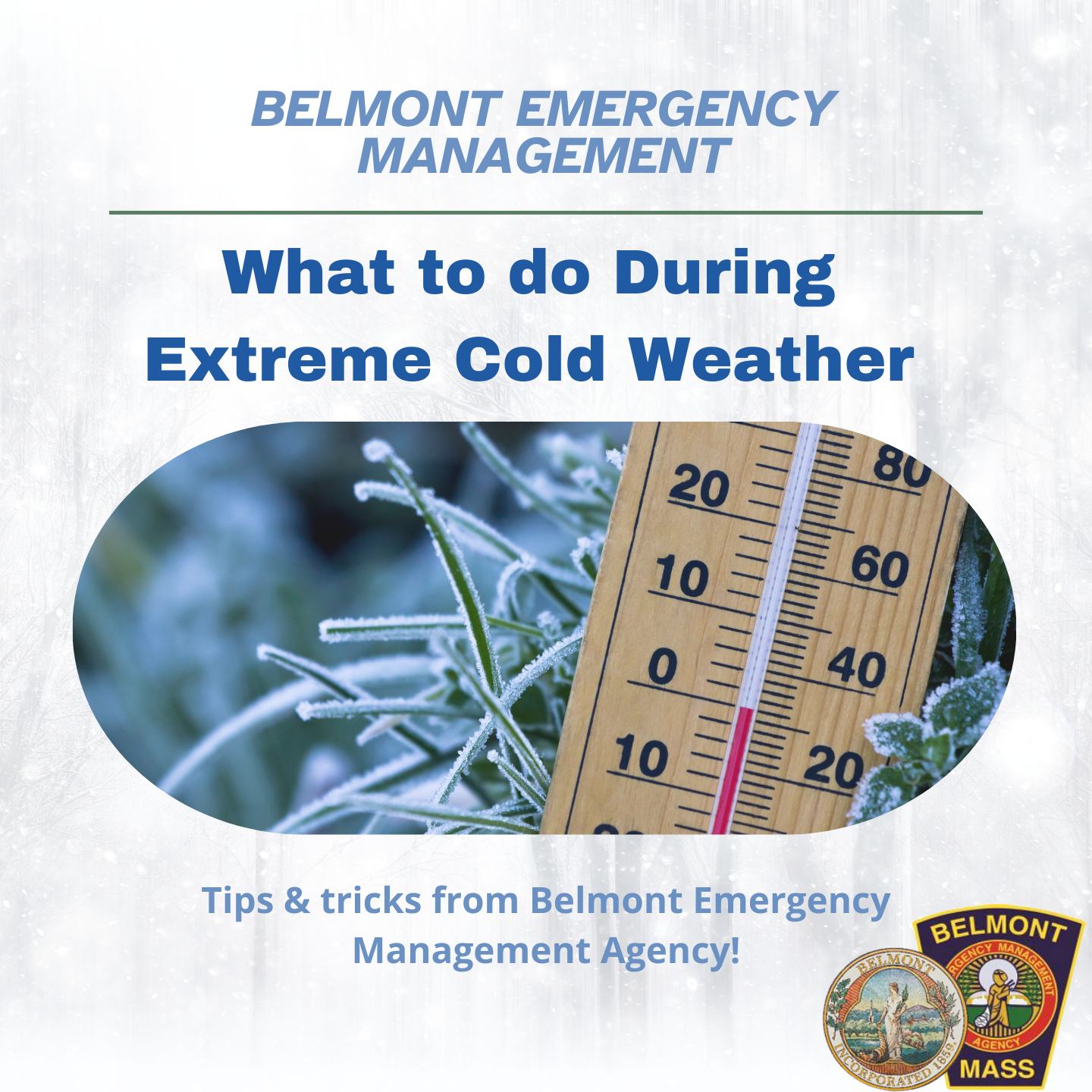 BEM Announcement Jan 2026