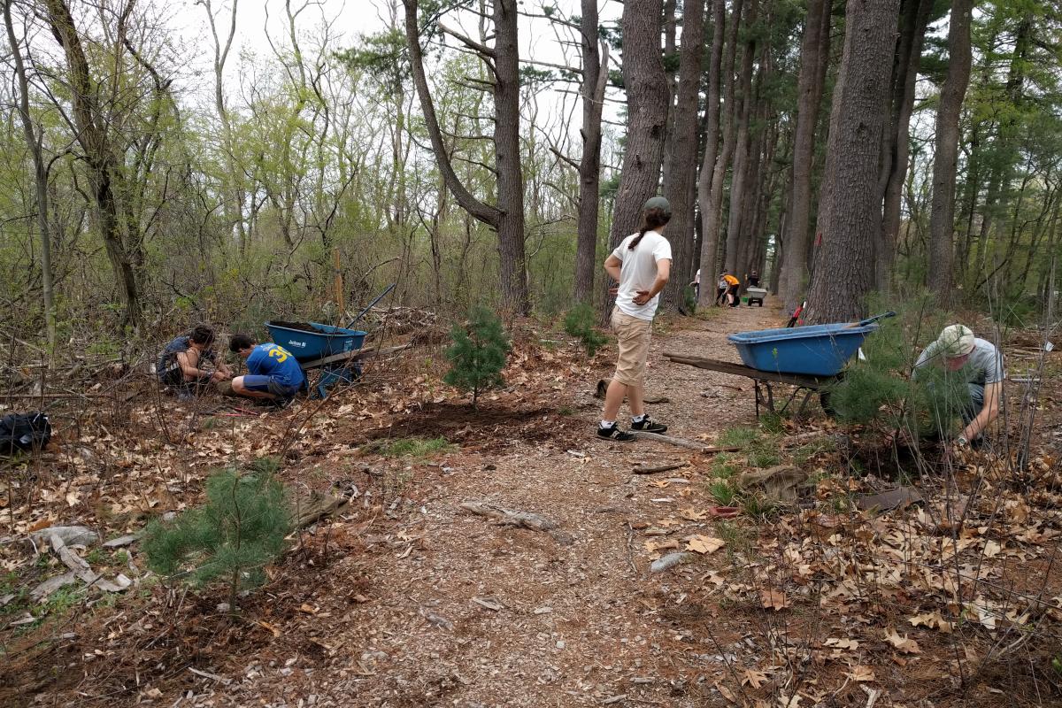 A volunteer looks down the trail at work in progress.